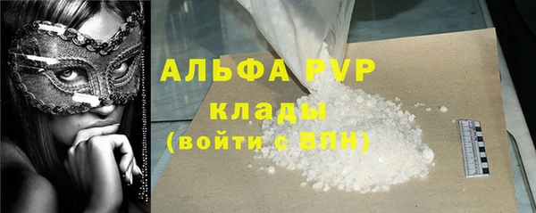 крисы Осинники