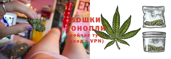 крисы Осинники