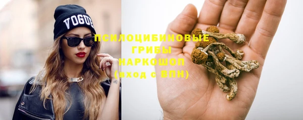 крисы Осинники