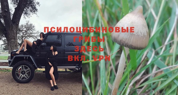 ешки Остров