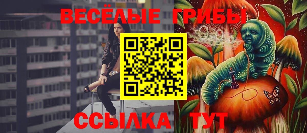 Галлюциногенные грибы прущие грибы  Вход с VPN  Балашов 