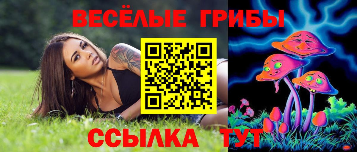 Псилоцибиновые грибы прущие грибы Балашов