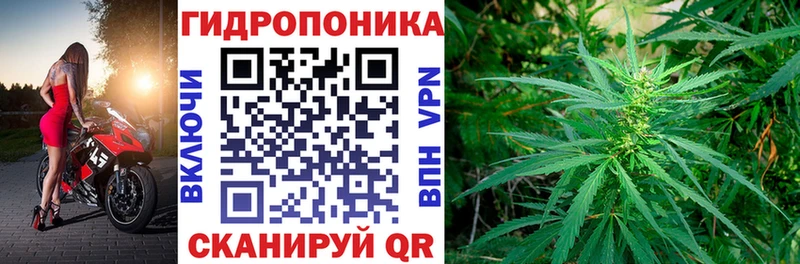 МАРИХУАНА White Widow  купить наркоту  Балашов 