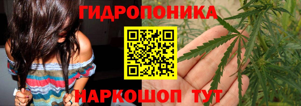 Каннабис ГИДРОПОН Балашов